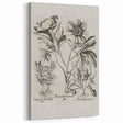 Vintage Botanical Peony and Flower Art Print – Black and White Botanical Wall Art