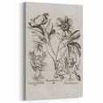 Vintage Botanical Peony and Flower Art Print – Black and White Botanical Wall Art