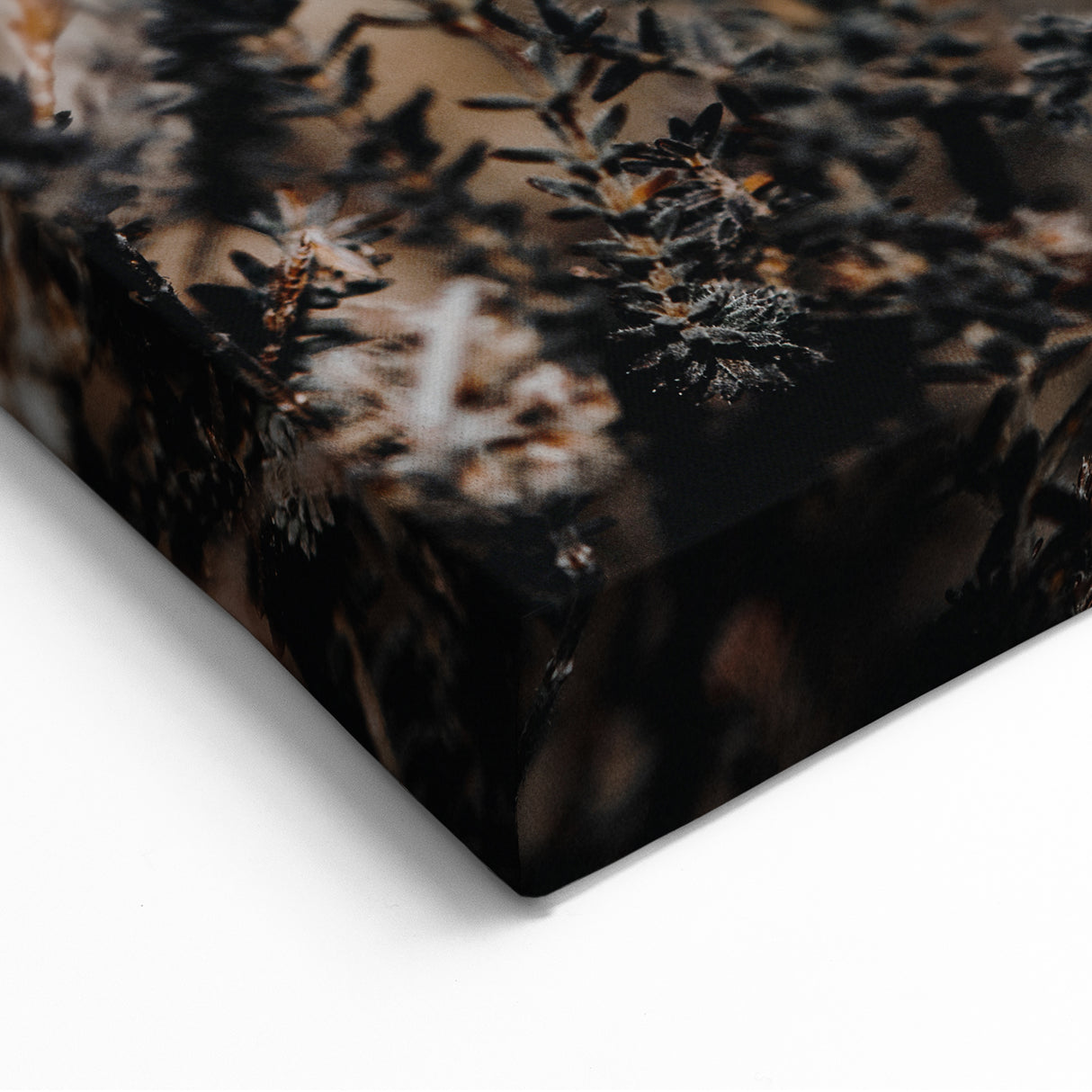 Minimalist Fall Wall Art – Dried Wildflowers Canvas Print