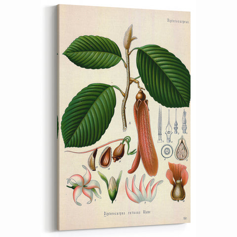 Vintage Botanical Illustration Art | Nature-Inspired Wall Art