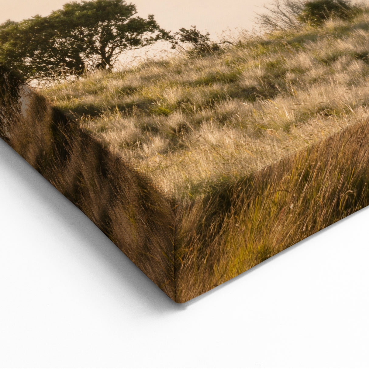 Above the Clouds - Summer Wall Art, Mountain Landscape Print