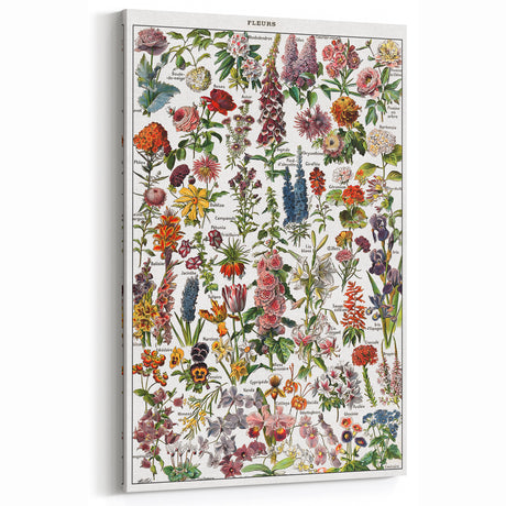 Vintage Botanical Art Print – Stunning Floral Collection