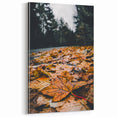 Fallen Autumn Leaves - Fall Wall Art Autumn Canvas Art Print