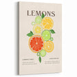 Citrus Lemons Illustration - Beverage Wall Art for Kitchen Decor