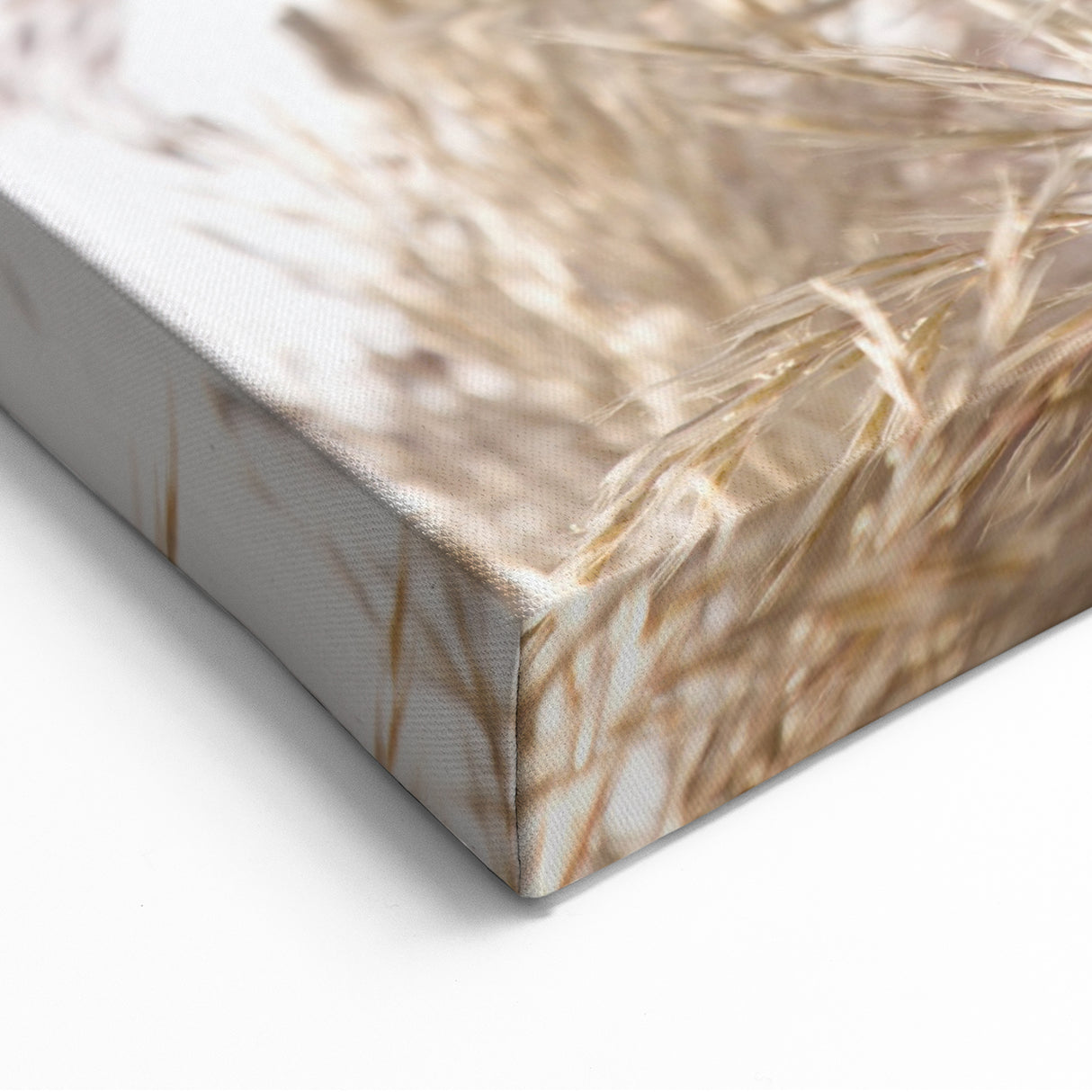 Sunlit Pampas Grass - Summer Wall Art, Nature-Inspired Decor