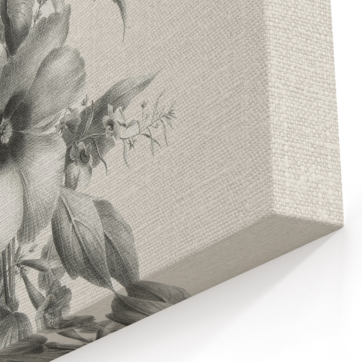 Vintage Botanical Art Print – Elegant Flower Illustration Art