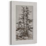 Botanical Etching – Forest Trees Nature Illustration Art Print