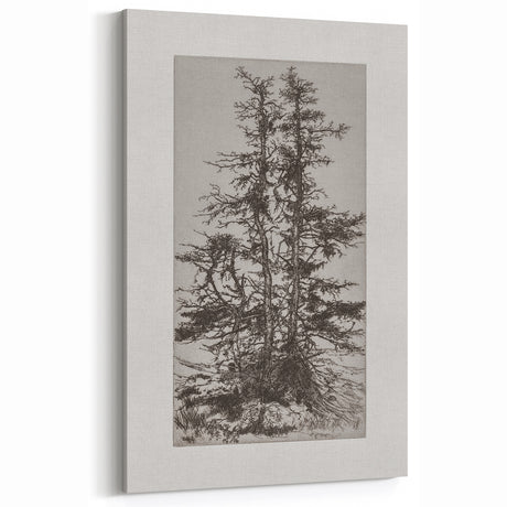 Botanical Etching – Forest Trees Nature Illustration Art Print