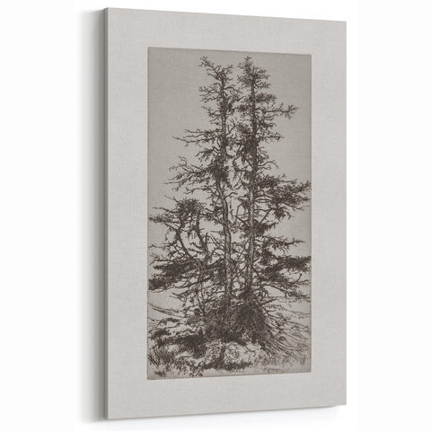 Botanical Etching – Forest Trees Nature Illustration Art Print