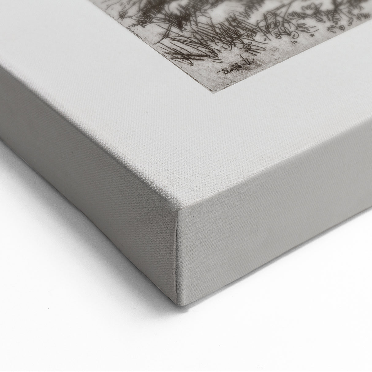 Botanical Etching – Forest Trees Nature Illustration Art Print