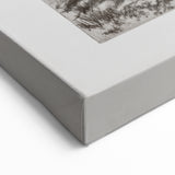 Botanical Etching – Forest Trees Nature Illustration Art Print