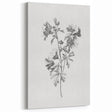 Botanical Art Print – Floral Illustration of Wild Flowers