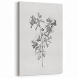 Botanical Art Print – Floral Illustration of Wild Flowers