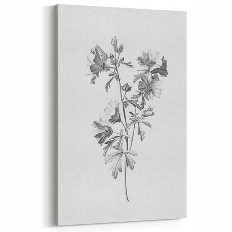 Botanical Art Print – Floral Illustration of Wild Flowers