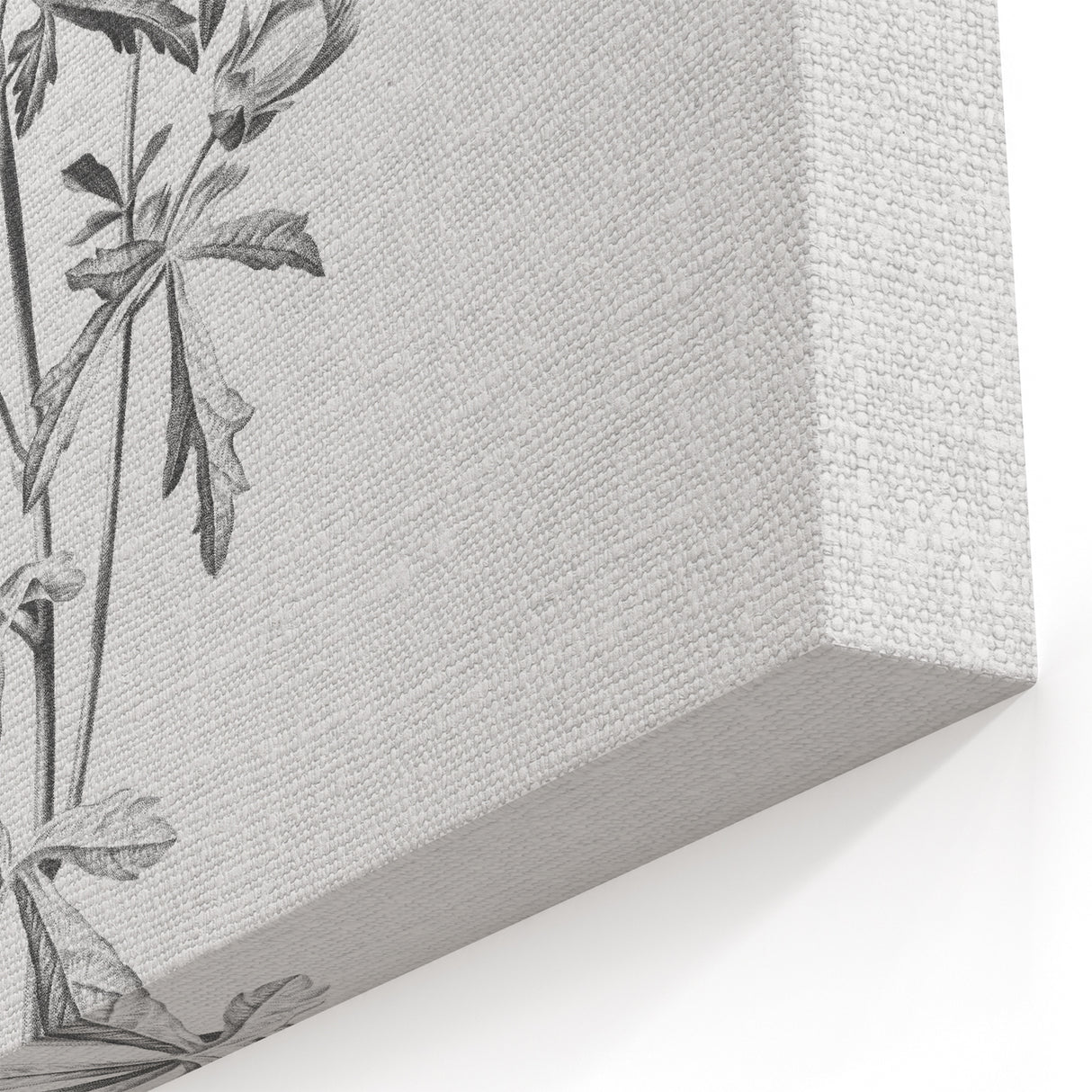 Botanical Art Print – Floral Illustration of Wild Flowers