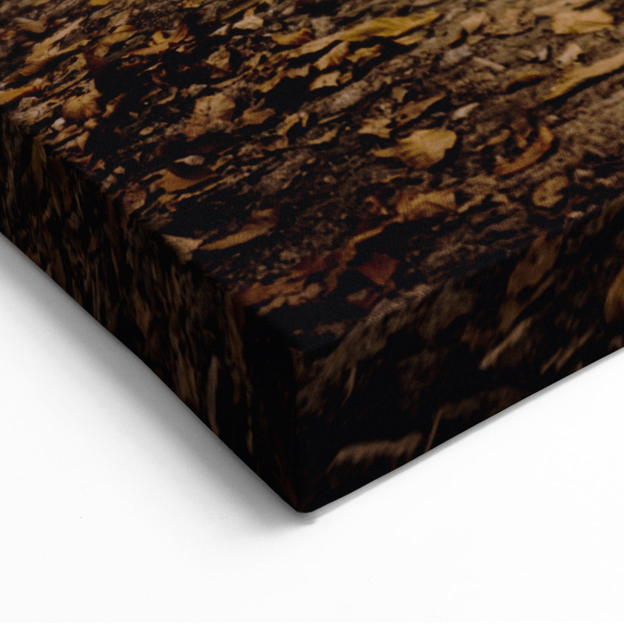 Autumn Forest Path – Fall Wall Art for Cozy Seasonal Decor
