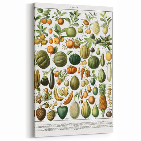 Vintage Botanical Art Prints – Nature-Inspired Fruit Illustration