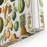 Vintage Botanical Art Prints – Nature-Inspired Fruit Illustration