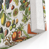 Vintage Botanical Art Prints – Fruits Collection Illustration