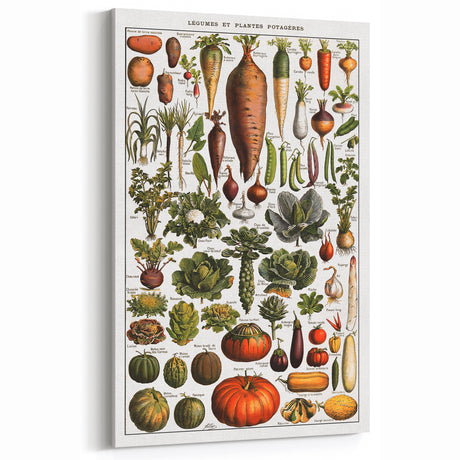 Vintage Botanical Art Print: Nature-Inspired Vegetables & Plants Decor
