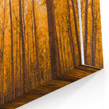 Golden Autumn Forest Path – Fall Wall Art for Tranquil Spaces