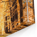 Golden Autumn Tree Tunnel – Fall Wall Art for Cozy Interiors