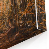 Autumn Forest Pathway – Fall Wall Art for Rustic and Cozy Spaces