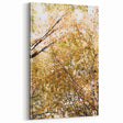 Golden Autumn Canopy – Fall Wall Art for Tranquil Interiors