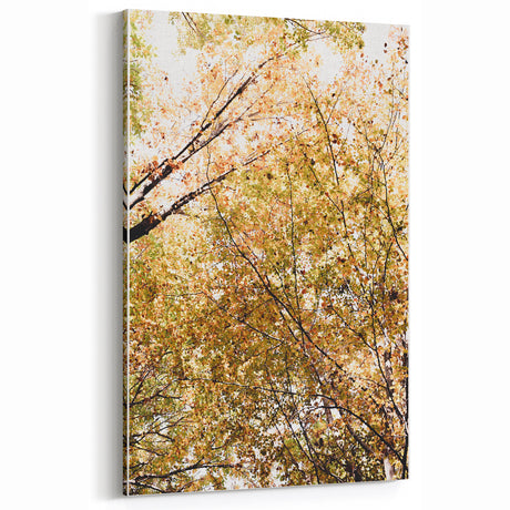 Golden Autumn Canopy – Fall Wall Art for Tranquil Interiors