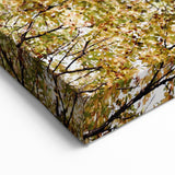 Golden Autumn Canopy – Fall Wall Art for Tranquil Interiors