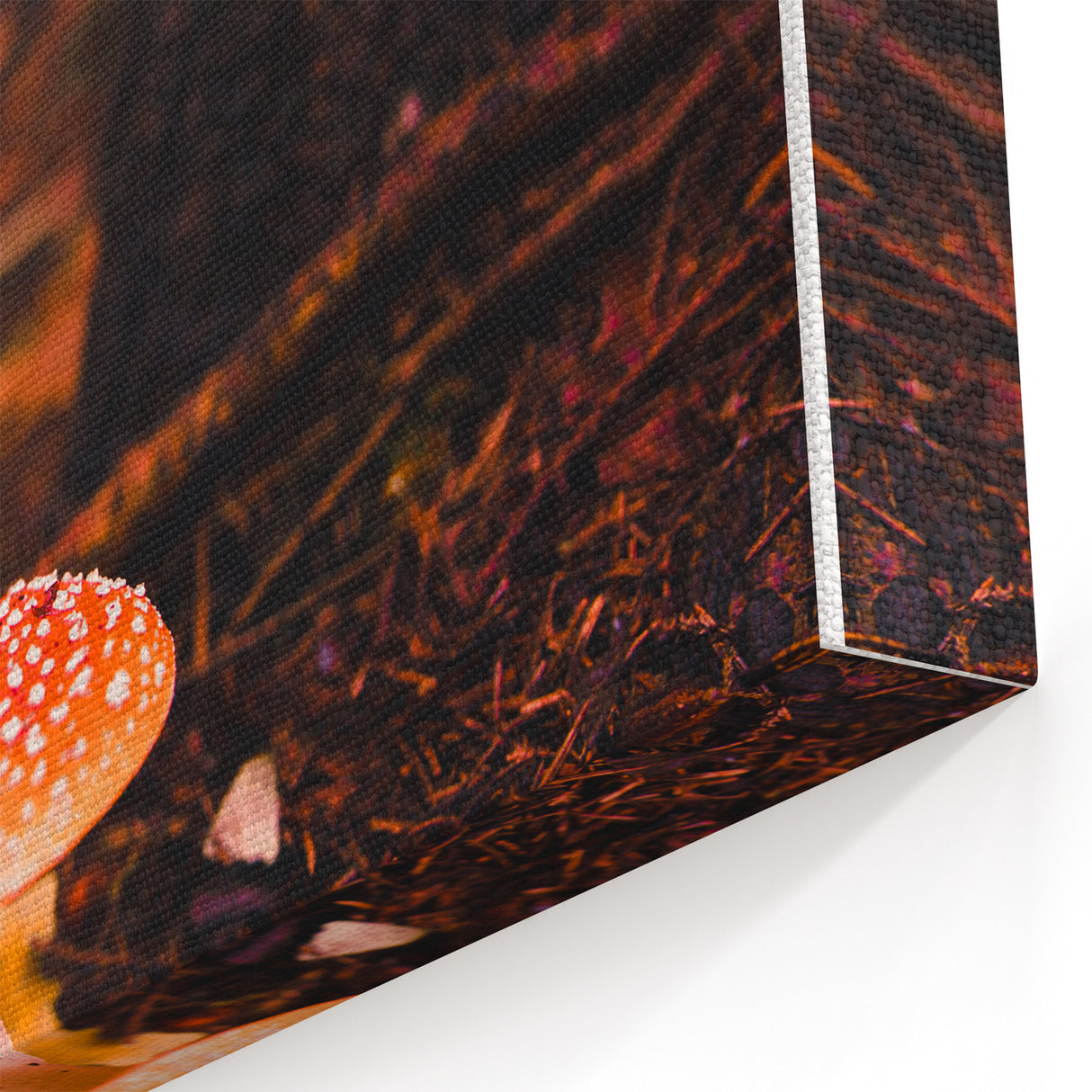 Enchanted Forest Mushroom - Autumn Wall Art and Fall Wall Decor