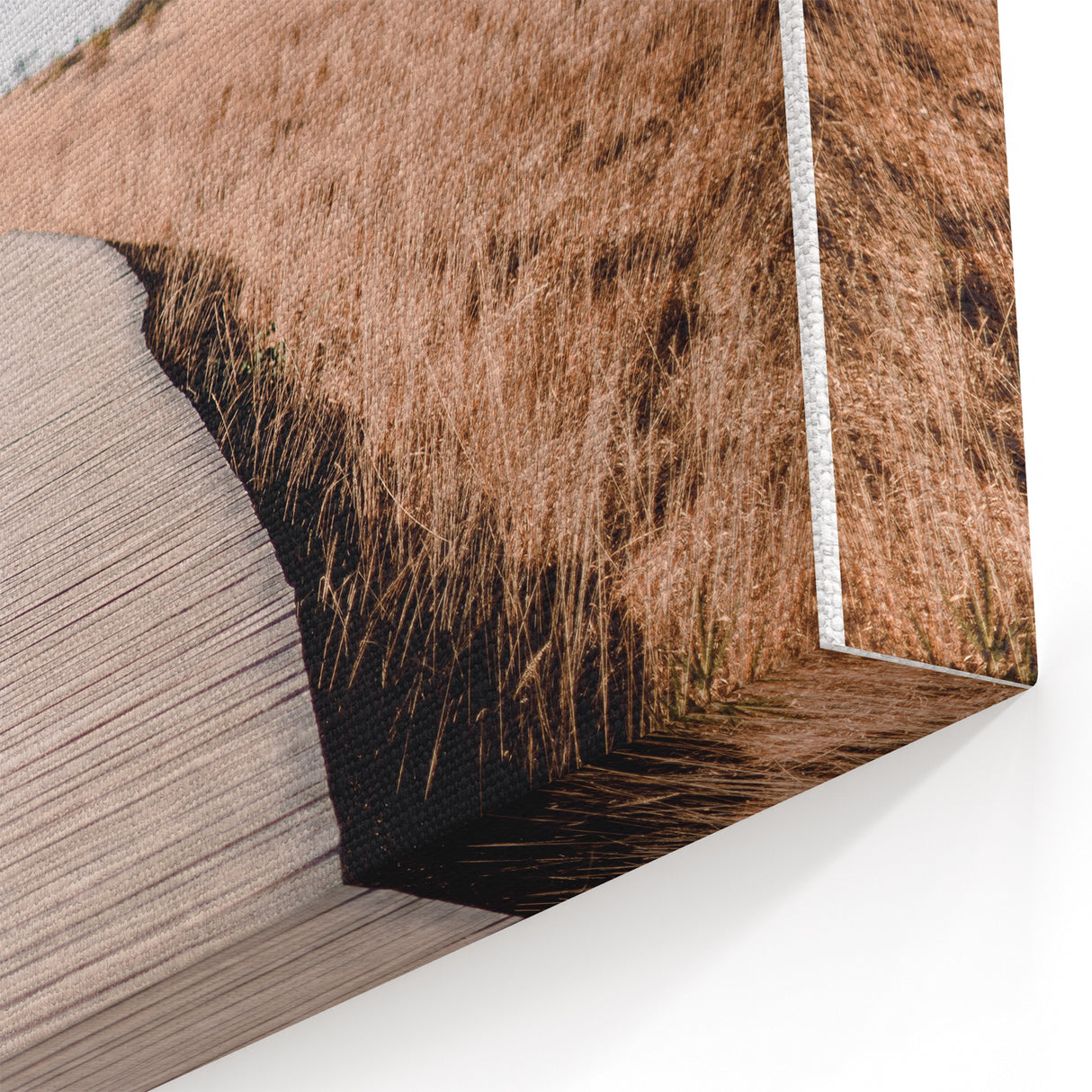 Autumn Boardwalk Trail - Fall Wall Art and Nature Canvas Print