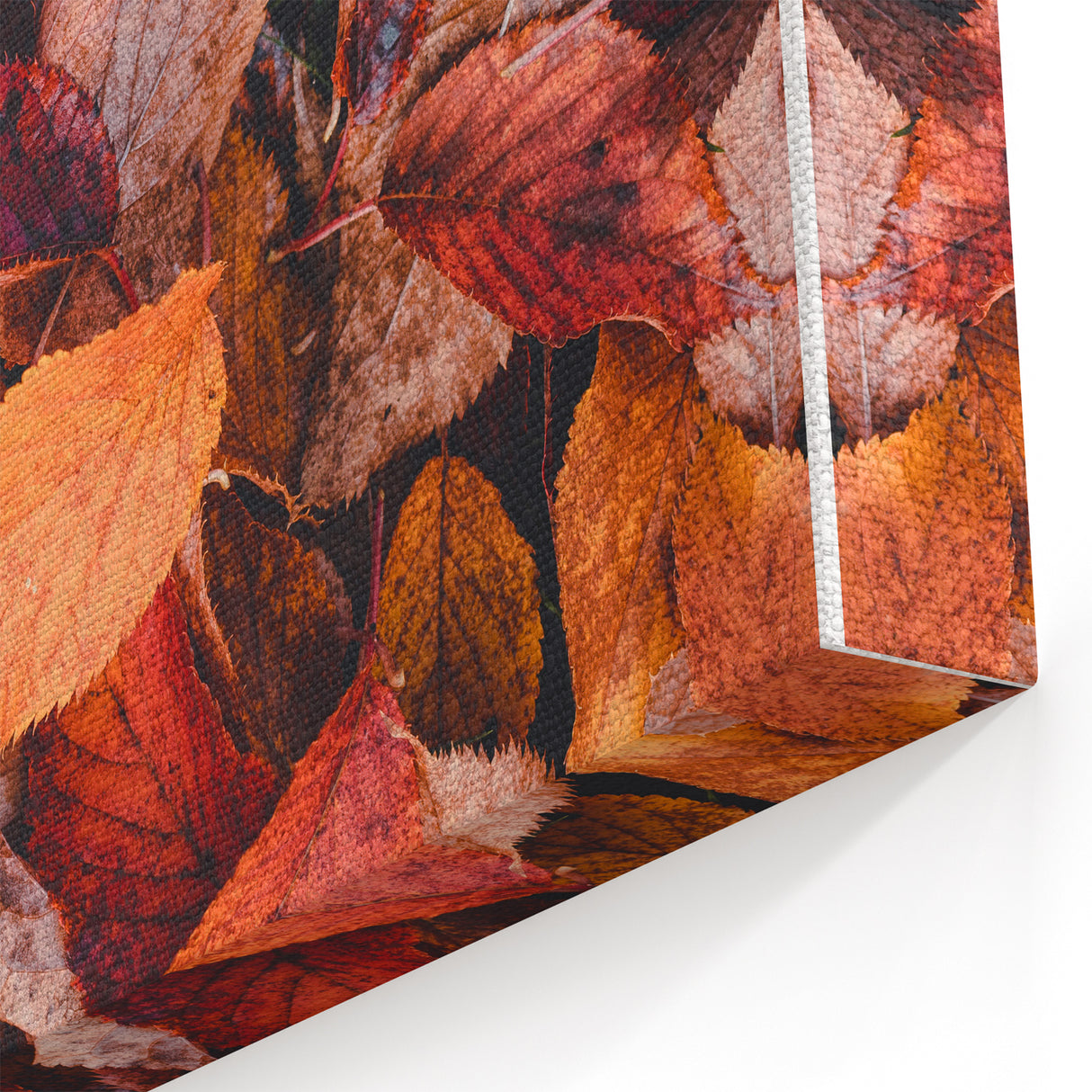 Fallen Autumn Leaves - Fall Wall Art and Rustic Canvas Print