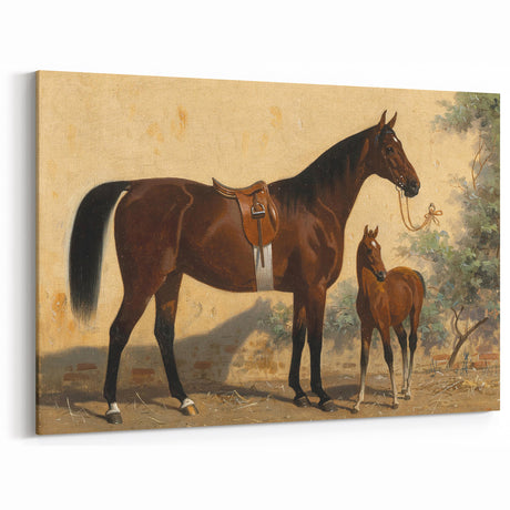 Vintage Animal Art: Horse and Foal – Antique Wildlife Print