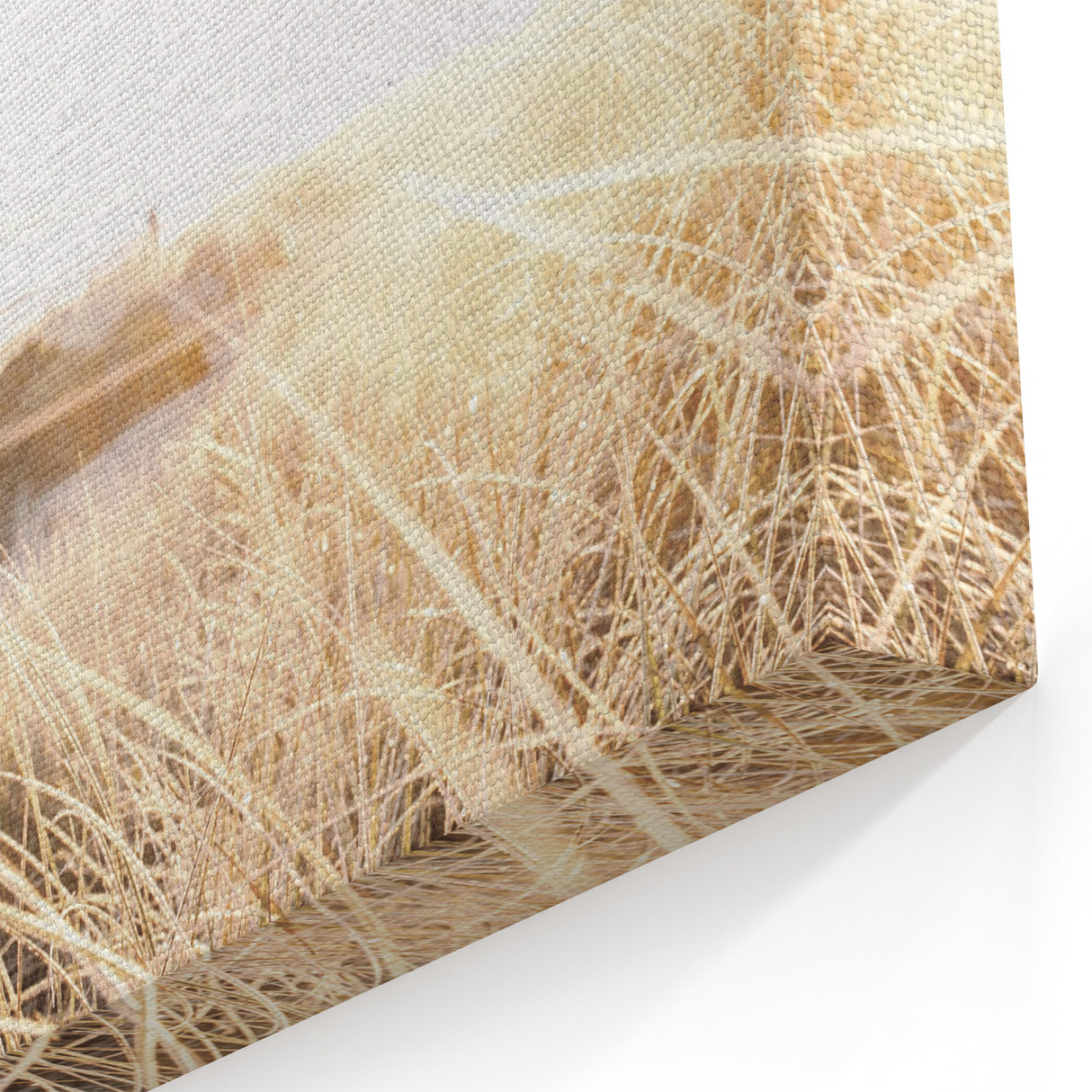 Golden Beach Dunes – Summer Wall Art with Sunlit Coastal Scene