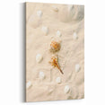 Seashell Serenity – Summer Wall Art for Coastal Beach Decor