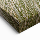 Coastal Beach Grass – Summer Wall Art for Serene Spaces