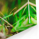 Spring Wall Art – Botanical Mushroom & Ladybug Nature Canvas Print