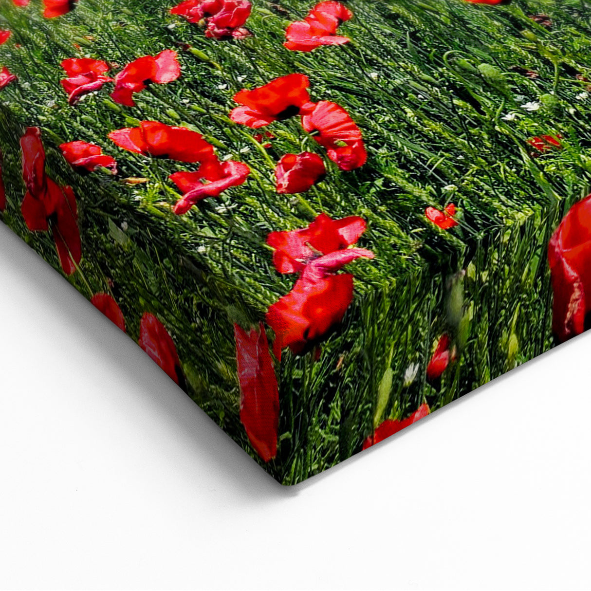 Spring Landscape Wall Art – Vibrant Red Poppy Field Canvas