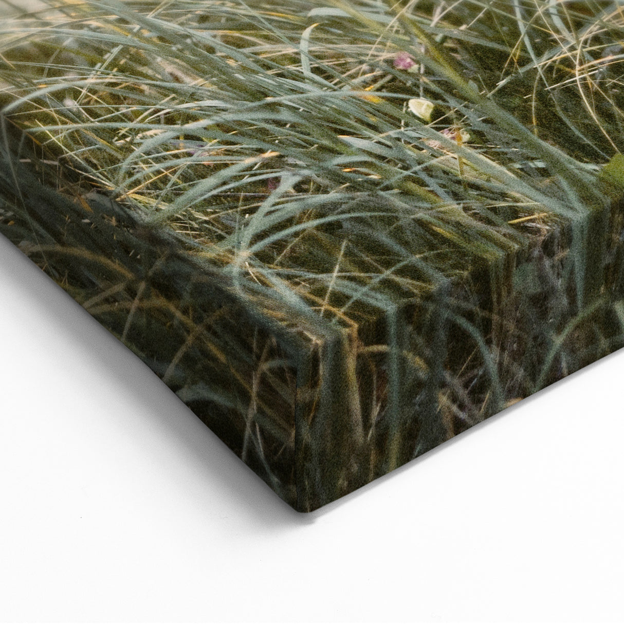 Beach Grass at Sunset – Tranquil Summer Landscape Wall Art