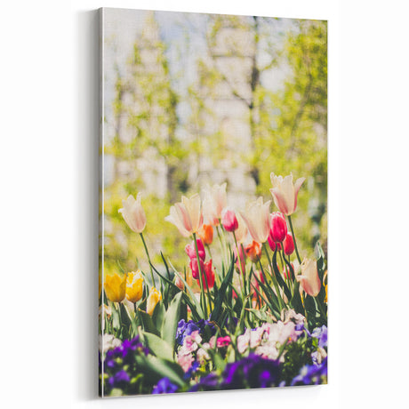 Spring Art Prints – Vibrant Tulip Garden in Bloom Canvas