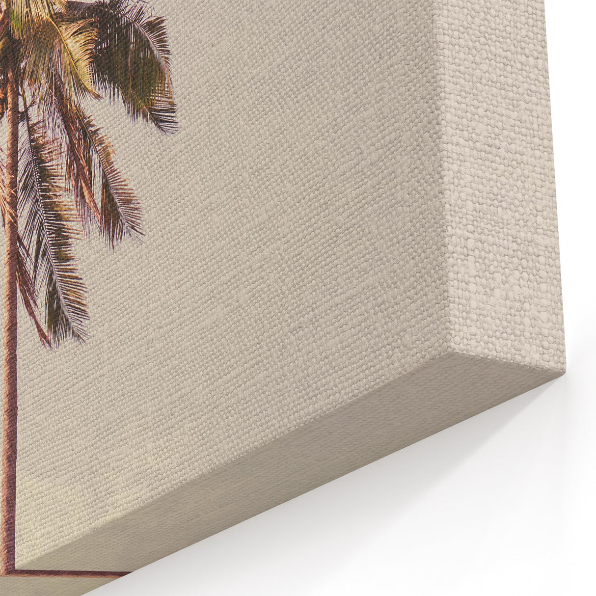 Minimalist Palm Tree – Elegant Tropical Summer Wall Art