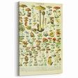 Mushroom Art Print – Vintage Champignons Illustration