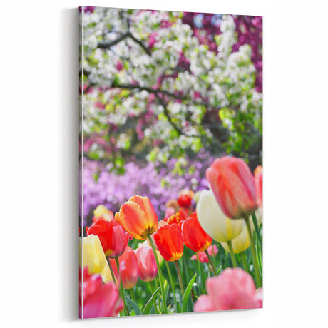 Spring Wall Decor – Colorful Tulip Bloom & Blossoming Trees