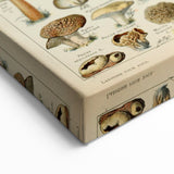 Mushroom Art Print – Vintage Champignons Illustration