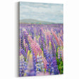 Spring Landscape Wall Art – Vibrant Lupine Flower Field Print