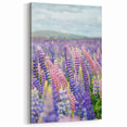 Spring Landscape Wall Art – Vibrant Lupine Flower Field Print
