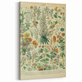 Flower Art Print – Vintage Botanical Flower Illustration