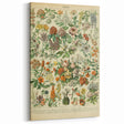 Flower Art Print – Vintage Botanical Flower Illustration