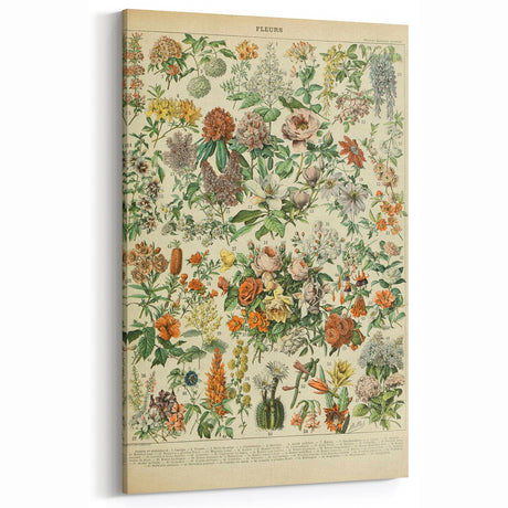Flower Art Print – Vintage Botanical Flower Illustration